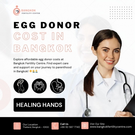 Egg Donor Cost in Bangkok: A Comprehensive Guide